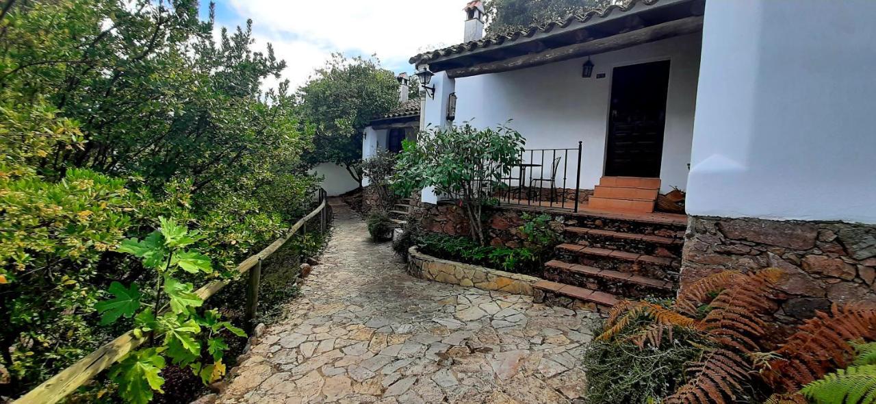 ארקנה Finca Valbono Apartamentos Rurales Y Hotel מראה חיצוני תמונה