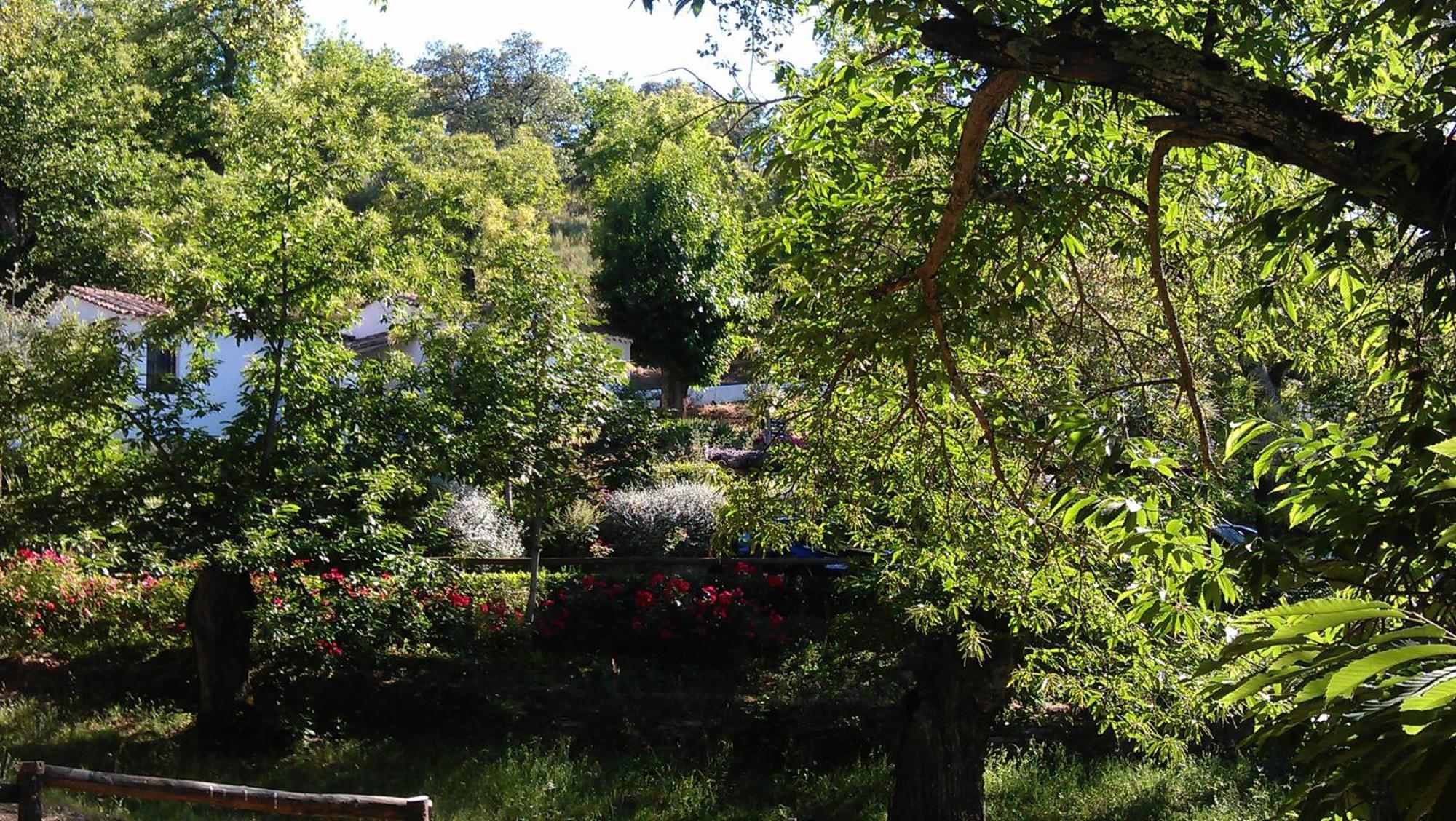 ארקנה Finca Valbono Apartamentos Rurales Y Hotel מראה חיצוני תמונה