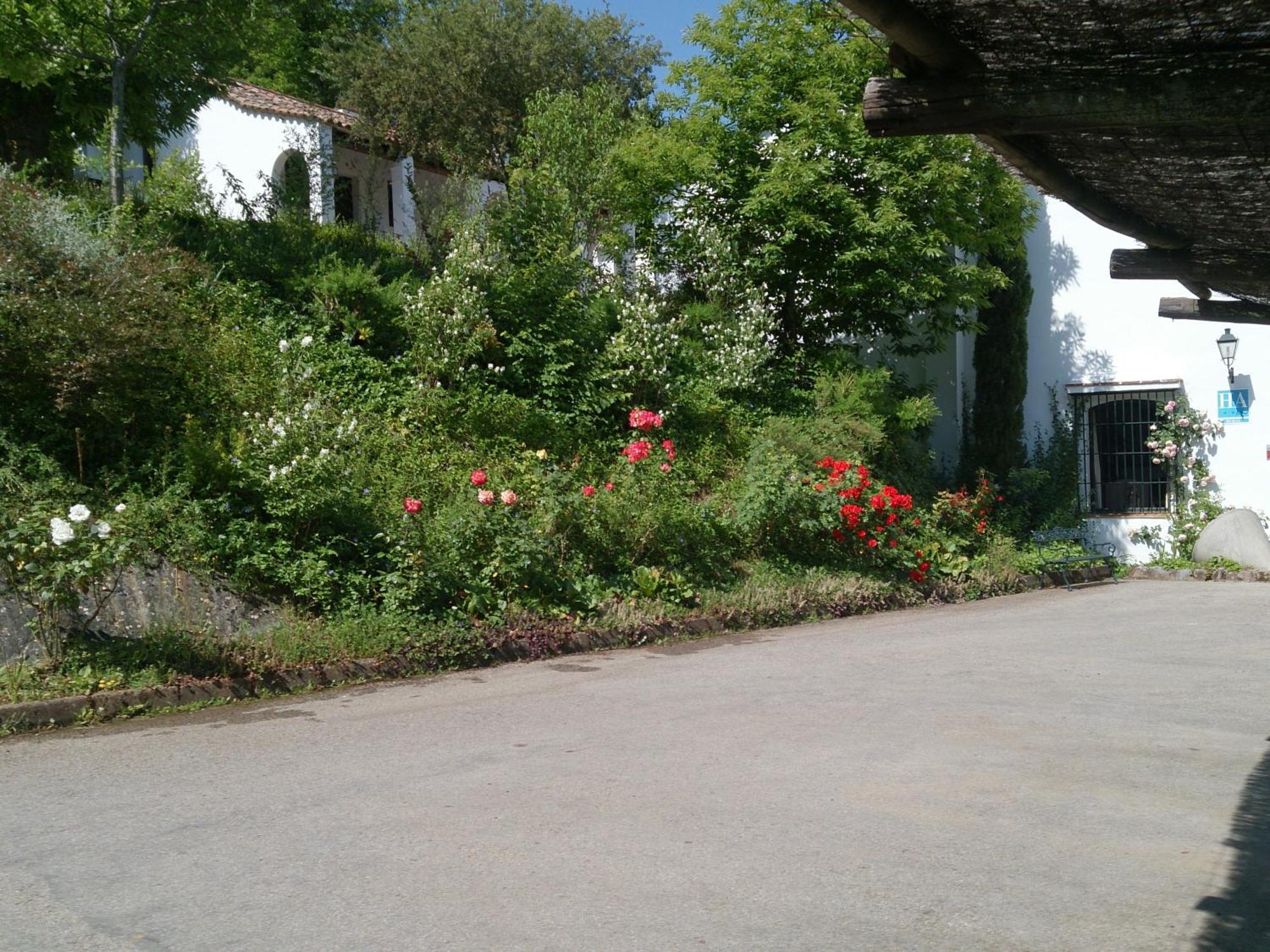 ארקנה Finca Valbono Apartamentos Rurales Y Hotel מראה חיצוני תמונה